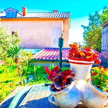 Vacation Home Grill & Chill With 350M2 Garden With Bbq Novi Vinodolski Ngoại thất bức ảnh